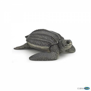 56022 Tortue Luth