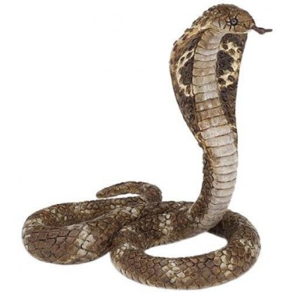 50164 Cobra royal - serpent