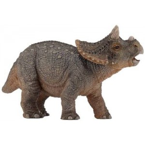 Jeune triceratops dinosaure
