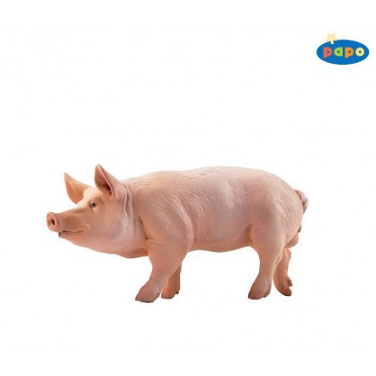 51044 Verrat Porc